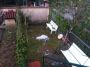 Appartamento arredato con giardino Empoli