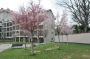 Trilocale con giardino Milano udine