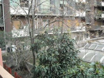 Trilocale arredato con balcone Carbonari - maggiolina