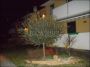 Appartamento arredato con garage Villafranca