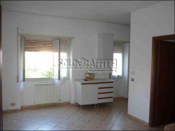 Appartamento affitto Ciampino