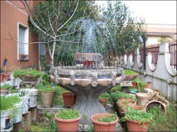 Appartamento arredato con balcone Cappelle Sul Tavo