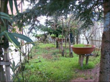 Appartamento arredato con balcone Cappelle Sul Tavo