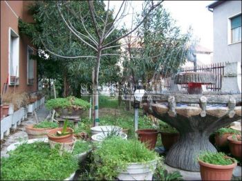 Appartamento arredato con balcone Cappelle Sul Tavo