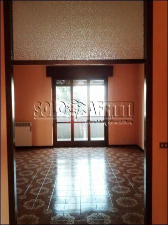 Appartamento affitto Cusano Milanino