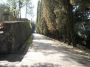 Villa con garage e giardino Centro storico