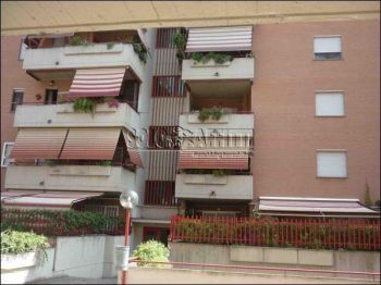 Appartamento affitto Ciampino