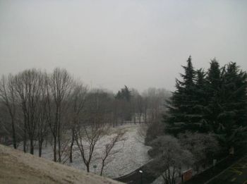 Monolocale arredato Sesto San Giovanni - Altre fotografie