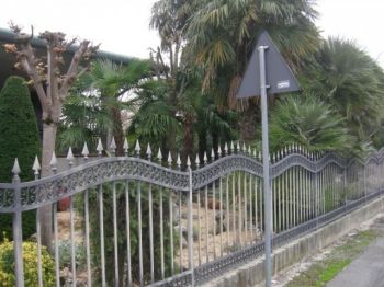 Villa affitto Fiesso d'Artico