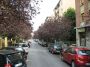 Appartamento Murri