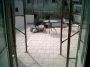 Appartamento arredato con terrazzo Nola