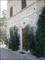 Casa con terrazzo Centro storico