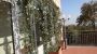 Casa con terrazzo e giardino Colli