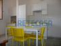 Appartamento arredato con terrazzo Porta san