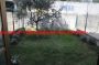 Appartamento con terrazzo e garage Donnini