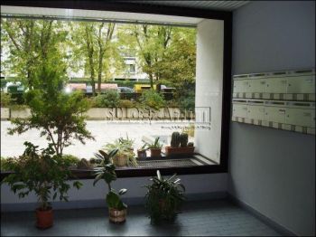 Casa arredata con garage Cicogna
