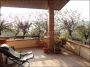 Villa arredata con terrazzo Cattabrighe
