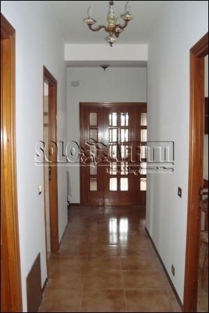 Appartamento affitto Roma