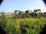 Appartamento arredato con balcone Flaminio,