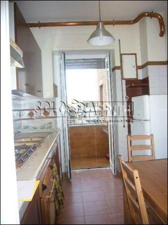 Appartamento Eur, laurentino, checchignola, montagnola, fonte meravigliosa