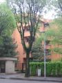 Monolocale arredato Monza