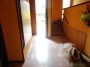 Casa nuova costruzione con giardino