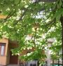 Casa arredata con garage Ovest