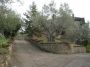 Appartamento arredato con giardino Viterbo