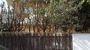 Appartamento arredato con giardino Boccea,