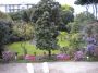 Appartamento arredato con giardino Quarto
