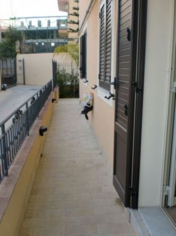 Casa nuova costruzione con giardino - Altre fotografie