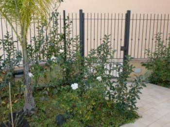 Casa nuova costruzione con giardino - Altre fotografie