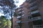 Appartamento con balcone Madonna alta