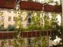 Appartamento arredato con balcone Fiera, firenze,