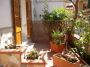 Casa con terrazzo Mondello partanna