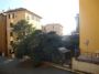 Trilocale arredato Castelletto