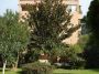 Appartamento arredato con garage Balduina,