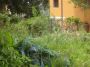 Appartamento con terrazzo e giardino