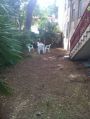 Appartamento arredato con balcone Tarquinia