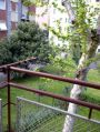 Casa arredata con balcone Citt� studi, lambrate,