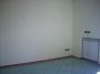 Fitto appartamento