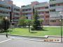 Affittasi appartamento ammobiliato