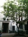 Bilocale Milano
