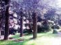 Appartamento arredato con balcone Gallarate