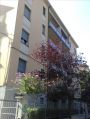 Casa Murri