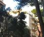 Casa con aria condizionata Trieste , salario
