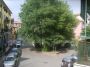 Bilocale arredato con balcone Buccinasco