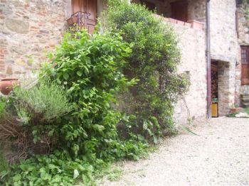 Casa con balcone Cennina - Altre fotografie