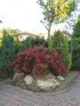 Villa arredata con giardino Cesena