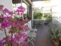 Casa con terrazzo e balcone Parioli, pinciano